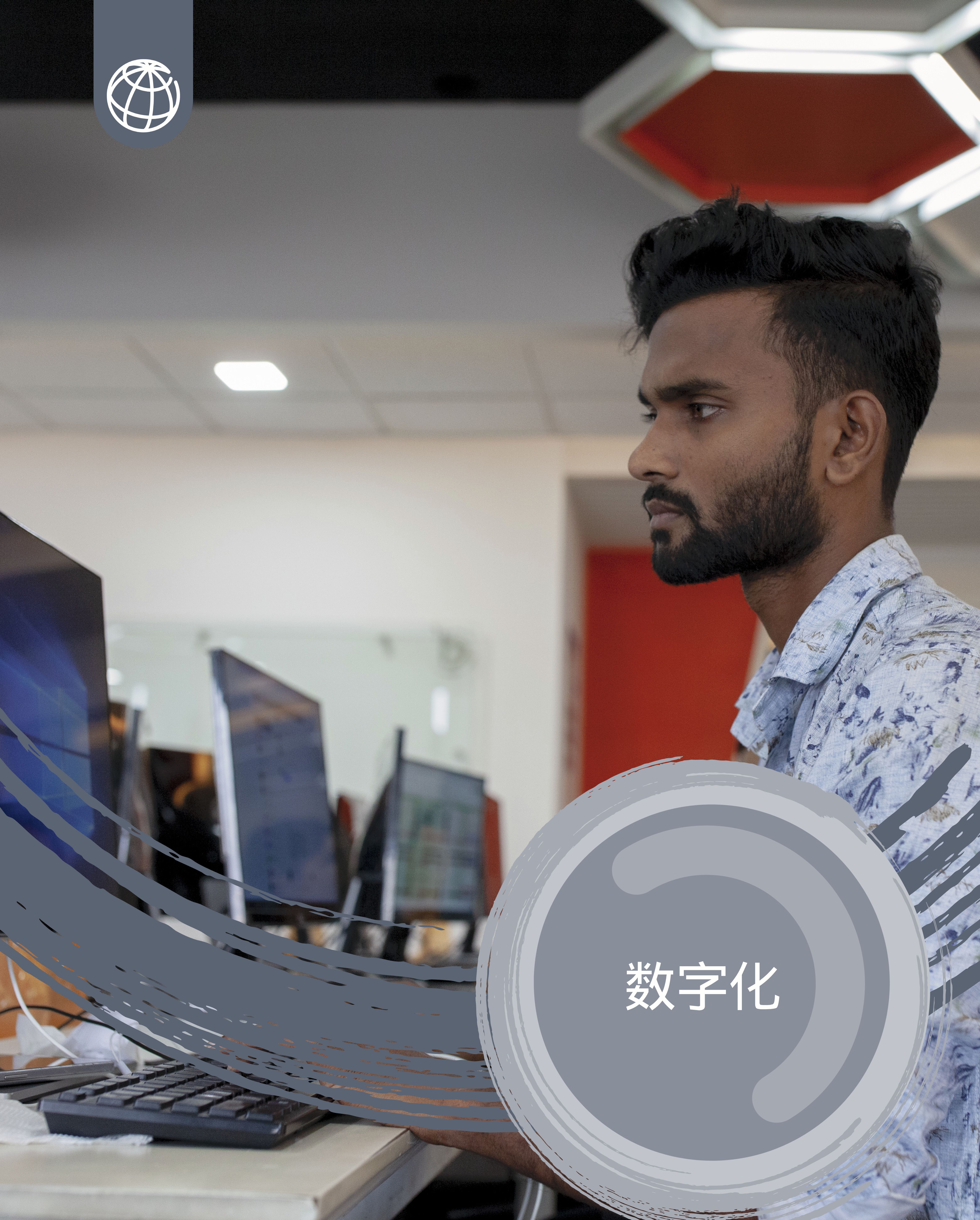 数字化概况